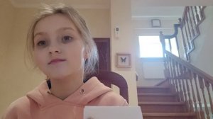 Как сделать паспорт для животного?