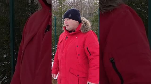 Особенности строительства бассейна из несъемной опалубки