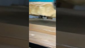 ЧПУ с наклонным врезанием. DOMENANT