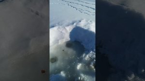 1000039008.mp4