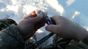 Как поймать щуку зимой на ерша