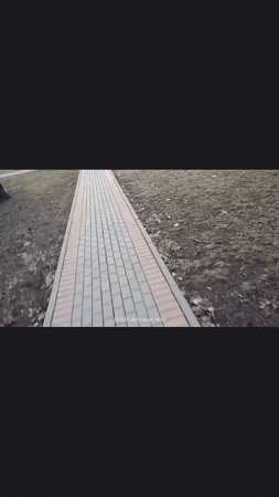 Москва обычная тропинка для пешеходов из плитки
