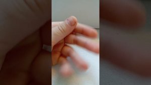 бумажные собаки 🫠🍉😒