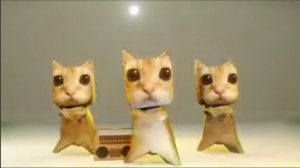 котики
