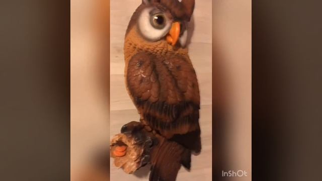 НАВЕСНАЯ СОВА БОЛЬШАЯ Н-57СМ смотреть онлайн