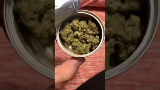 Smart bud “PLATINUM HAWAIIAN” смотреть онлайн