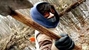 ИСТОРИИ НА НОЧЬ. Прокси-переписка. Тикки-Тоби