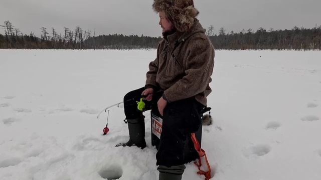 ТАЁЖНАЯ ЖИЗНЬ. НОЧЁВКА В ПАЛАТКЕ. РЫБАЛКА В ГЛУШИ. ПОЙМАЛИ ТРОФЕЙ НА ЖЕРЛИЦУ. ОЗЕРО НЕ ТАК ПРОСТО.