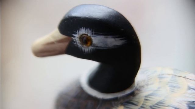 CANON TV Lenses [C-Mount] смотреть онлайн