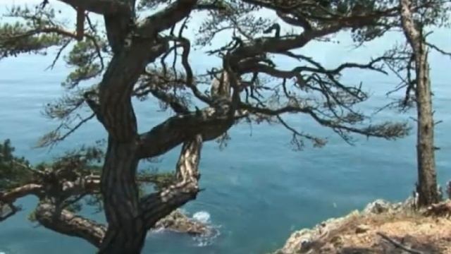 120 лет МГУ им адм. Г. И. Невельского и 150 лет Владивостоку