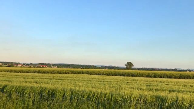 Logo 480 XXTREME смотреть онлайн