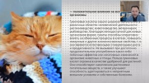 Вебинар: "Вебинар по продукции Imperium Valeo – MatrixRelictum"