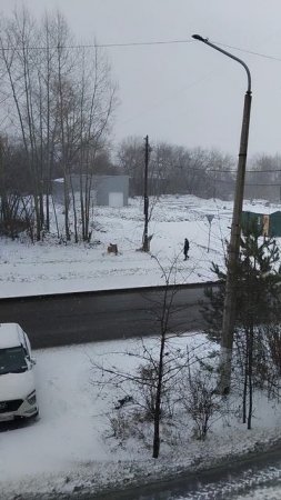 Утро доброе, друзья 🤗 А у нас весенний покров, словно зима и не ушла ☕