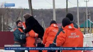 Репортаж 1 канала