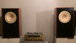 Coral 10 Flat Full Range, Fisher 800 Tube