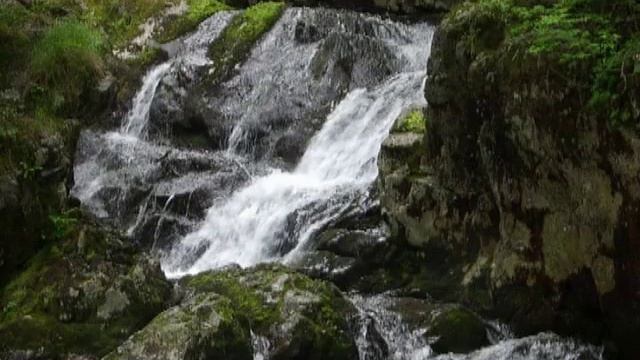смольные водопады  лето