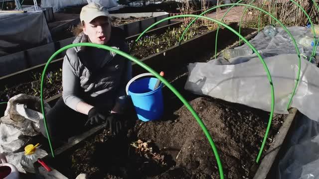 ГОТОВЬТЕ ГРЯДКУ ПОД ОГУРЦЫ ТОЛЬКО ТАК! Перина для бешеного плодоношения огурцов своими руками.