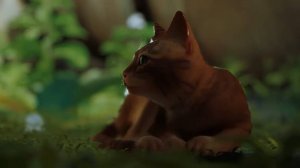 STRAY. Прохождение игры #1