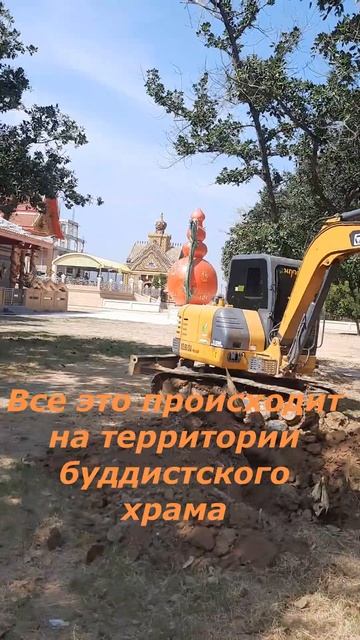 Корчевание пней по-тайски мини-экскаватором смотреть онлайн