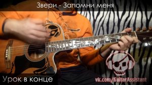 Звери - Запомни меня (Урок под гитару)