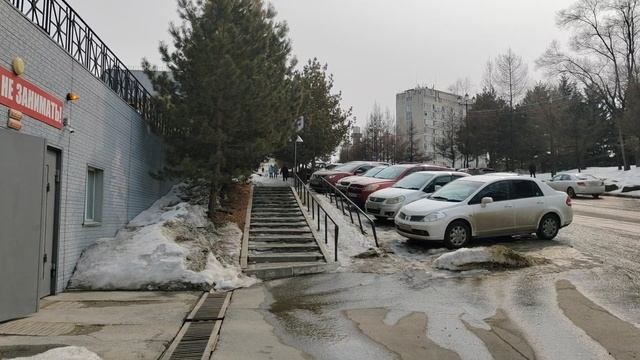 397. Хабаровск. Тургенева 96 - ТРЦ Броско Молл. 24.03.25.