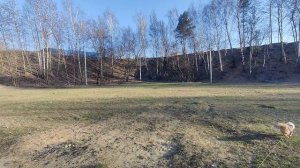 на кореневском карьере
