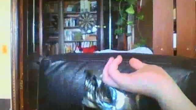 череп из алекпресс смотреть онлайн