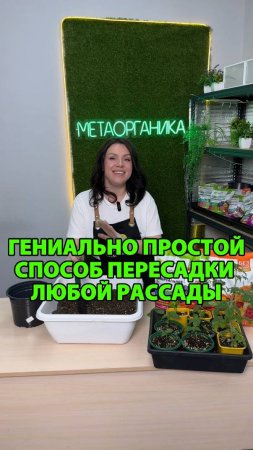 Гениально простой способ пересадки любой рассады