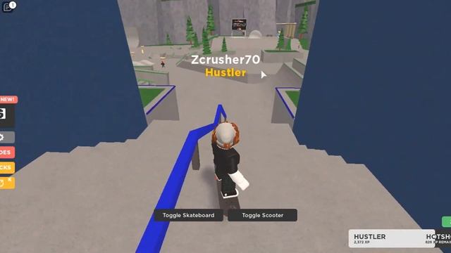 The Roblox Skate Park Experience