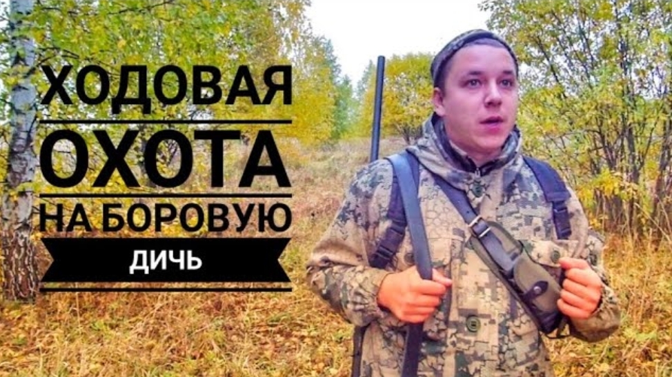 Ходовая охота на боровую дичь смотреть онлайн