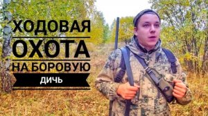 Ходовая охота на боровую дичь