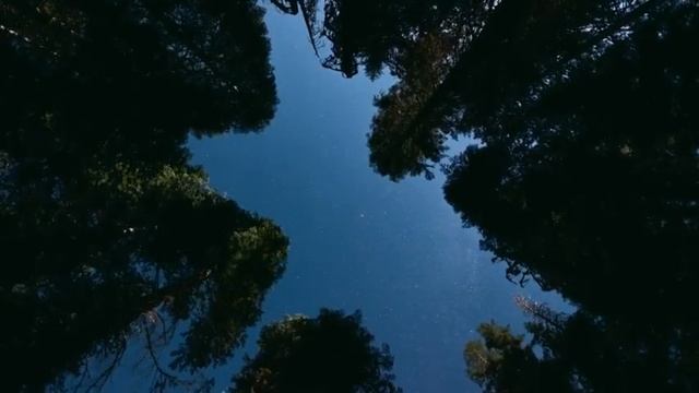 Звёздное небо (часть)2