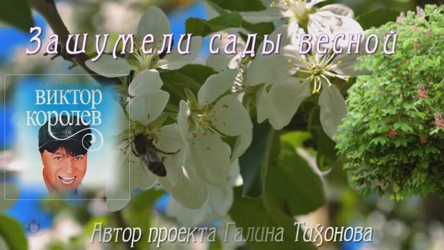 Зашумели сады весной.....Виктор Королёв смотреть онлайн