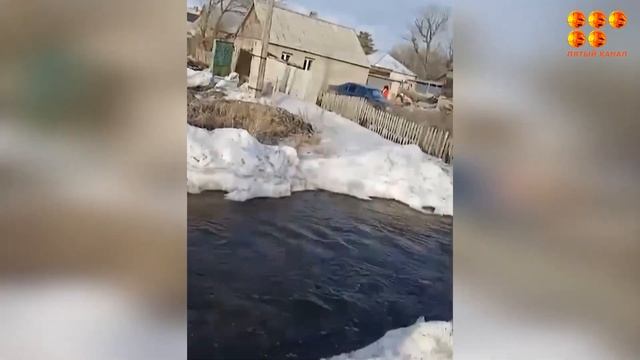 Жители Сортировки возмущены, что каждый год заливает их дома смотреть онлайн