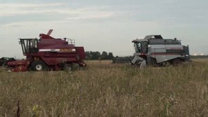 Уборка урожая 2012 комбайнами ПАЛЕССЕ GS 07 и ВЕКТОР 410