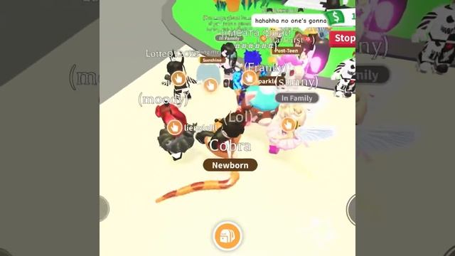 new cobra pet in adopt me! | roblox смотреть онлайн
