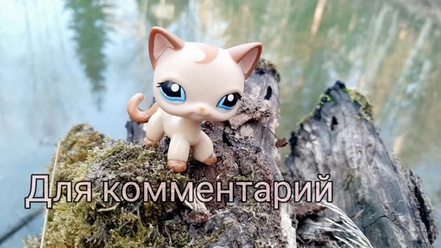 Для комментарий к клипу смотреть онлайн