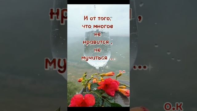 # Мысли в слух💞💯 смотреть онлайн