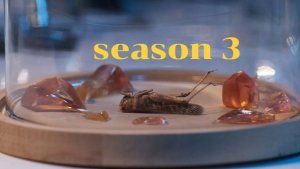 Сериал Защитник / The Protector Сезон 3 серия 6