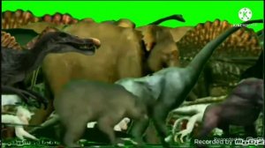 Biggest Animal Stampede Green Screen