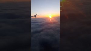 закат в полете