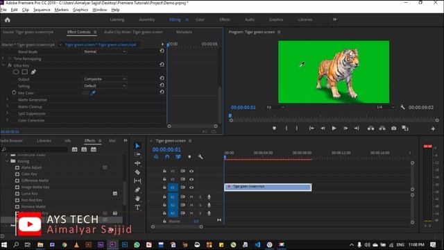 Chroma Key I   Adobe Premiere Pro 8