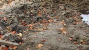 Планировочный экскаватор JCB 3CX выбирает грунт и отсыпает участок песком