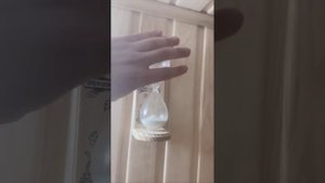 Василий в Живом паре в Марьино