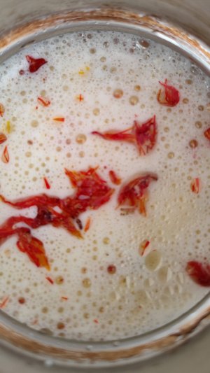 Молочная кальпа