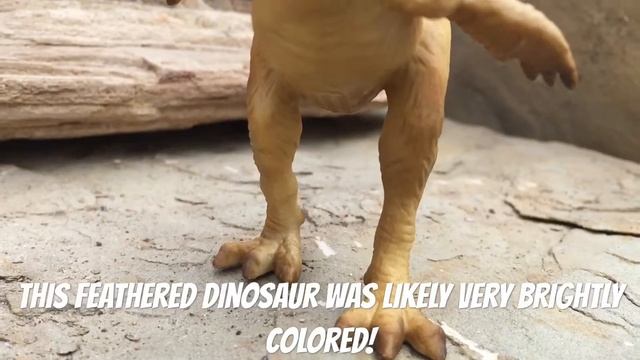 Gigantoraptor Dinosaur Toy Model | CollectA | 88307