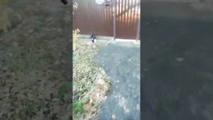 Надо сразу уходить чтоб никто не привыкал!