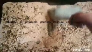 Уборка в клетке у кролика/ (Часть 1)