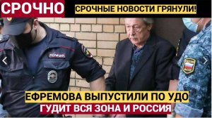 ВОТ ЭТО ПОВОРОТ! Михаила Ефремова освободили досрочно. Что ждет известного актера на свободе