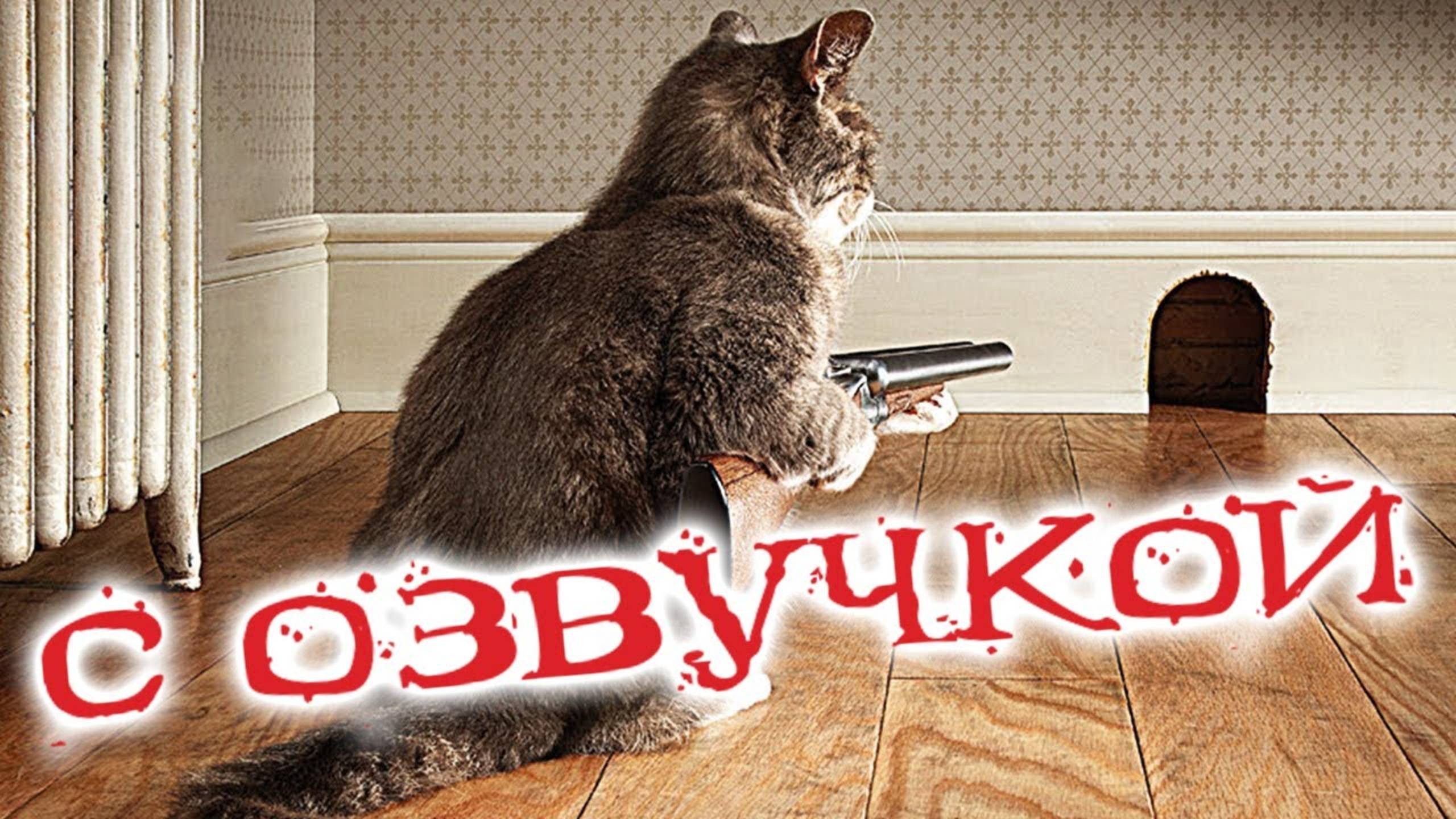 ПРИКОЛЫ С КОТАМИ! Самая Смешная ОЗВУЧКА Животных! До Слёз!